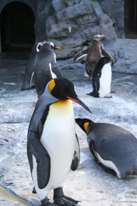 あさひやま動物園