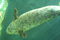 あさひやま動物園