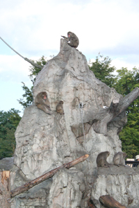 あさひやま動物園