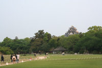 春の宵待庭園